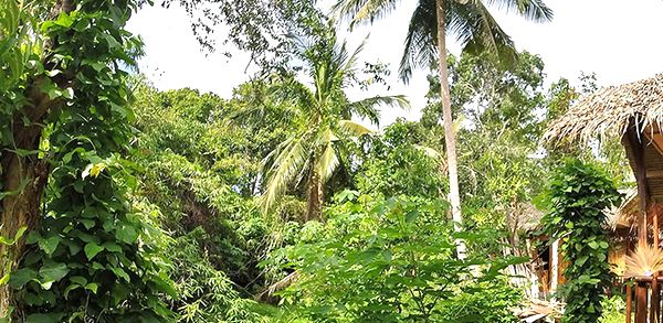 Dovolenka Ko Pha Ngan 3